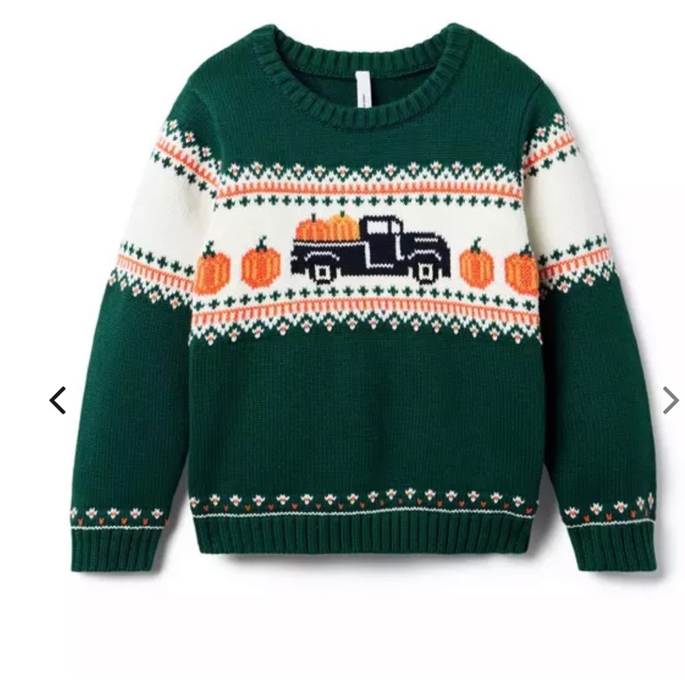 Janie and Jack Pumpkin Fair Isle Sweater